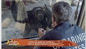 Cites: 50 anni di tutela della biodiversità globale