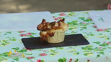 Lasagnetta primavera