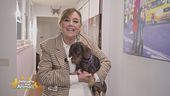 Nicobel Lawyer, il miglior assistente dell'Avv. Annamaria Bernardini de Pace