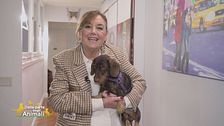 Nicobel Lawyer, il miglior assistente dell'Avv. Annamaria Bernardini de Pace
