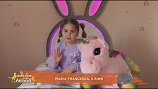 Perché alcune farfalle hanno le ali più colorate di altre?