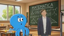 Il polpo
