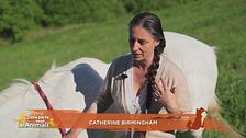 I tre principi d'oro di Catherine Birmingham