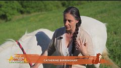 I tre principi d'oro di Catherine Birmingham