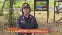 Alla scoperta de centro animali confiscati e sequestrati