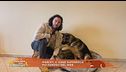 Marley, il cane supereroe più famoso del web