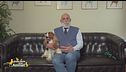 Torna in Italia il World Dog Show