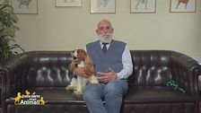 Torna in Italia il World Dog Show