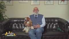 Torna in Italia il World Dog Show