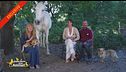Gli animali della famiglia nel bosco