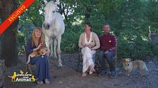 Gli animali della famiglia nel bosco