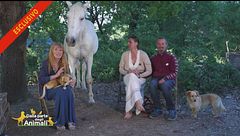 Gli animali della famiglia nel bosco