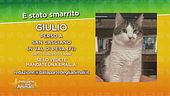 Ritroviamo Giulio