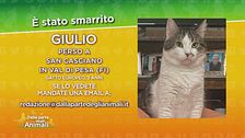 Ritroviamo Giulio