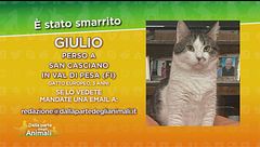 Ritroviamo Giulio