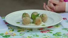 Polpette di lenticchie, salsa tzatsiki e pesto di menta