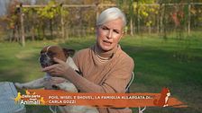 Pois, Wisel e Shovel, la famiglia allargata di Carla Gozzi