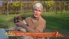 Pois, Wisel e Shovel, la famiglia allargata di Carla Gozzi