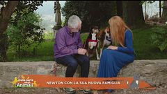 Newton e la sua nuova famiglia