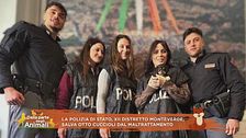 Otto cuccioli salvati dal maltrattamento