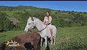Il libro della mamma del bosco