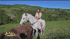 Il libro della mamma del bosco