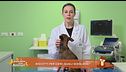 Biscotti per cani: quali scegliere?
