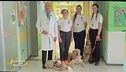Woody, Molly e Bea: i cagnolini che portano gioia ai bambini in ospedale