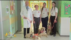 Woody, Molly e Bea: i cagnolini che portano gioia ai bambini in ospedale