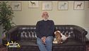 World dog show a Bologna