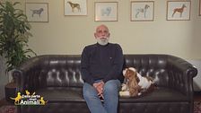 World dog show a Bologna