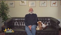 World dog show a Bologna