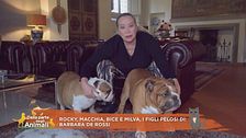 Rocky, Macchia, Bice e Milva, i figli pelosi di Barbara De Rossi