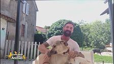Una bella realtà animalista