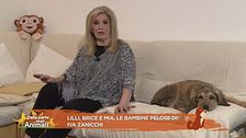 Lilli, Brice e Mia, le bambine pelose di Iva Zanicchi