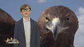 Nel bosco con Leo