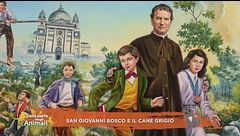 San Giovanni Bosco e il cane grigio
