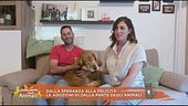 Dalla speranza alla felicità