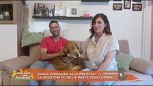 Dalla speranza alla felicità