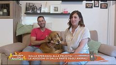 Dalla speranza alla felicità