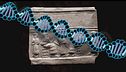 Ep. 10 - Dna ufo