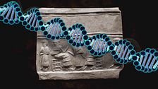 Ep. 10 - Dna ufo