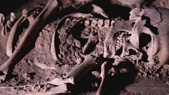 Ep. 39 - I giganti del Mediterraneo