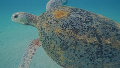 Ep. 2 - Terra dell'acqua