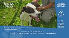 Sberla - Adotta un Amico