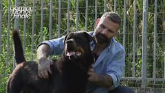 Teo - Adotta un Amico