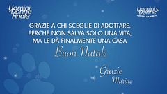 Videochiamata a Babbo Natale - Adotta un Amico