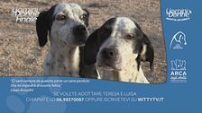Teresa e Luisa - Adotta un amico