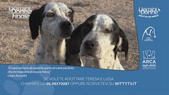Teresa e Luisa - Adotta un amico