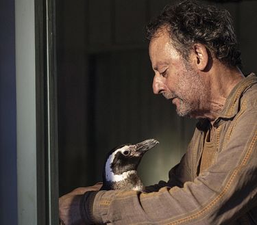 Il mio amico pinguino